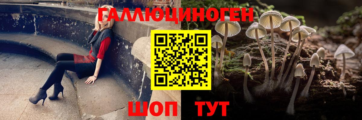 Галлюциногенные грибы Psilocybine cubensis Строитель